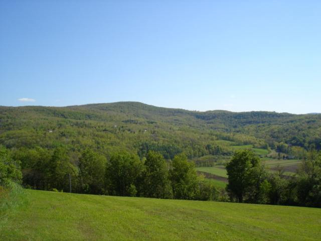 2306 West Fulton Road Warnerville, NY 12187 - Photo 8 of 12 Photo 8