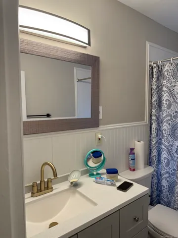 a bathroom with a sink and a toilet