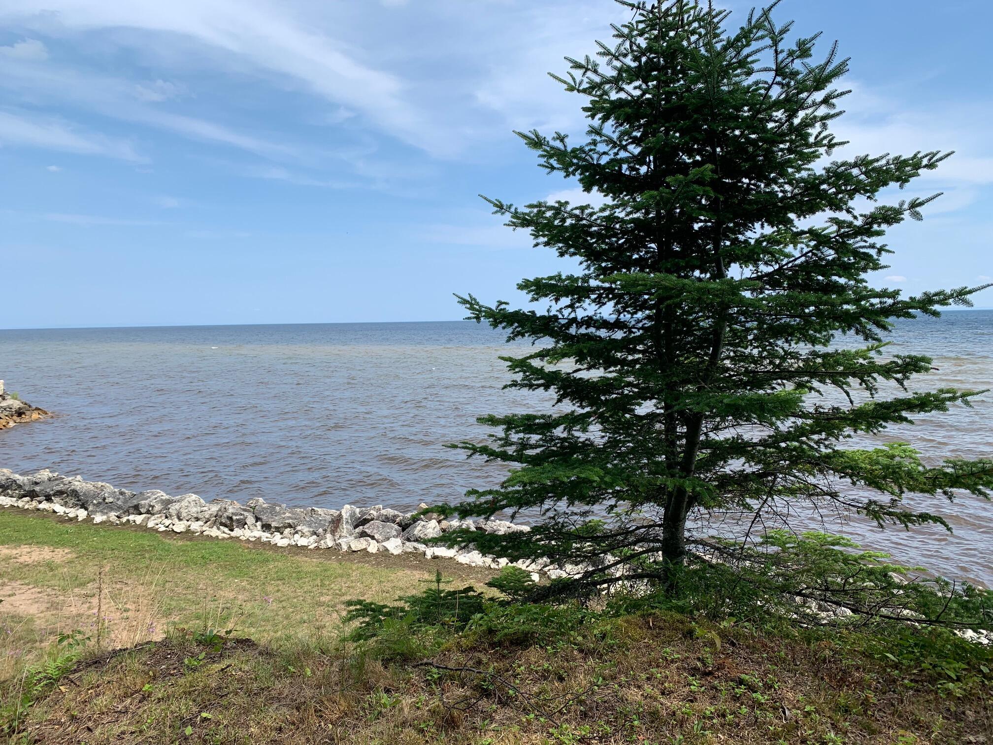 9015 North Whitefish Point Road Paradise, MI 49768 - Photo 1 of 32 Gallery Image 1