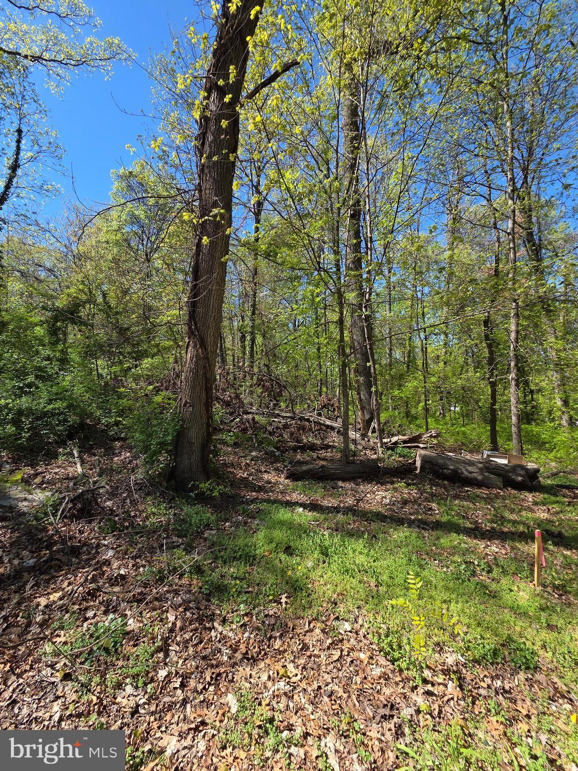 Riverdale Road Lanham, MD 20706 - Photo 12 of 15
