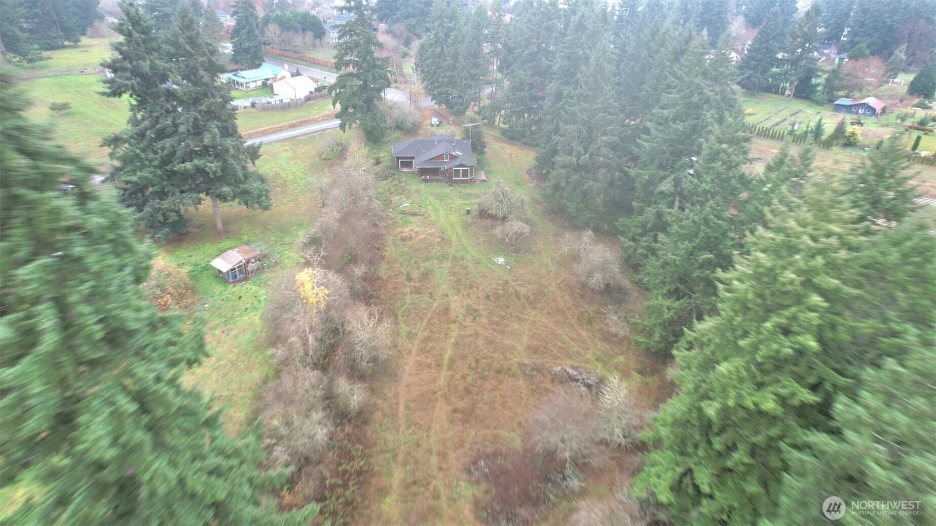 10524 Clark Road Southeast Yelm, WA 98597 - Photo 6 of 10 a view of a yard
