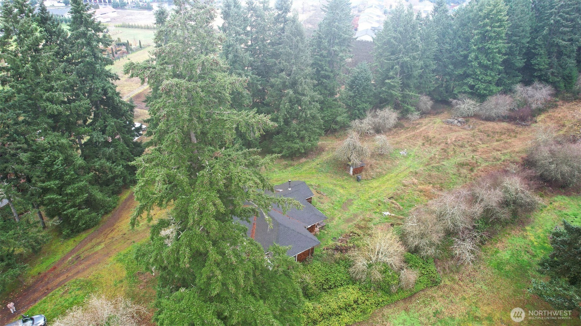 10524 Clark Road Southeast Yelm, WA 98597 - Photo 9 of 10 a backyard of a house with yard and green space