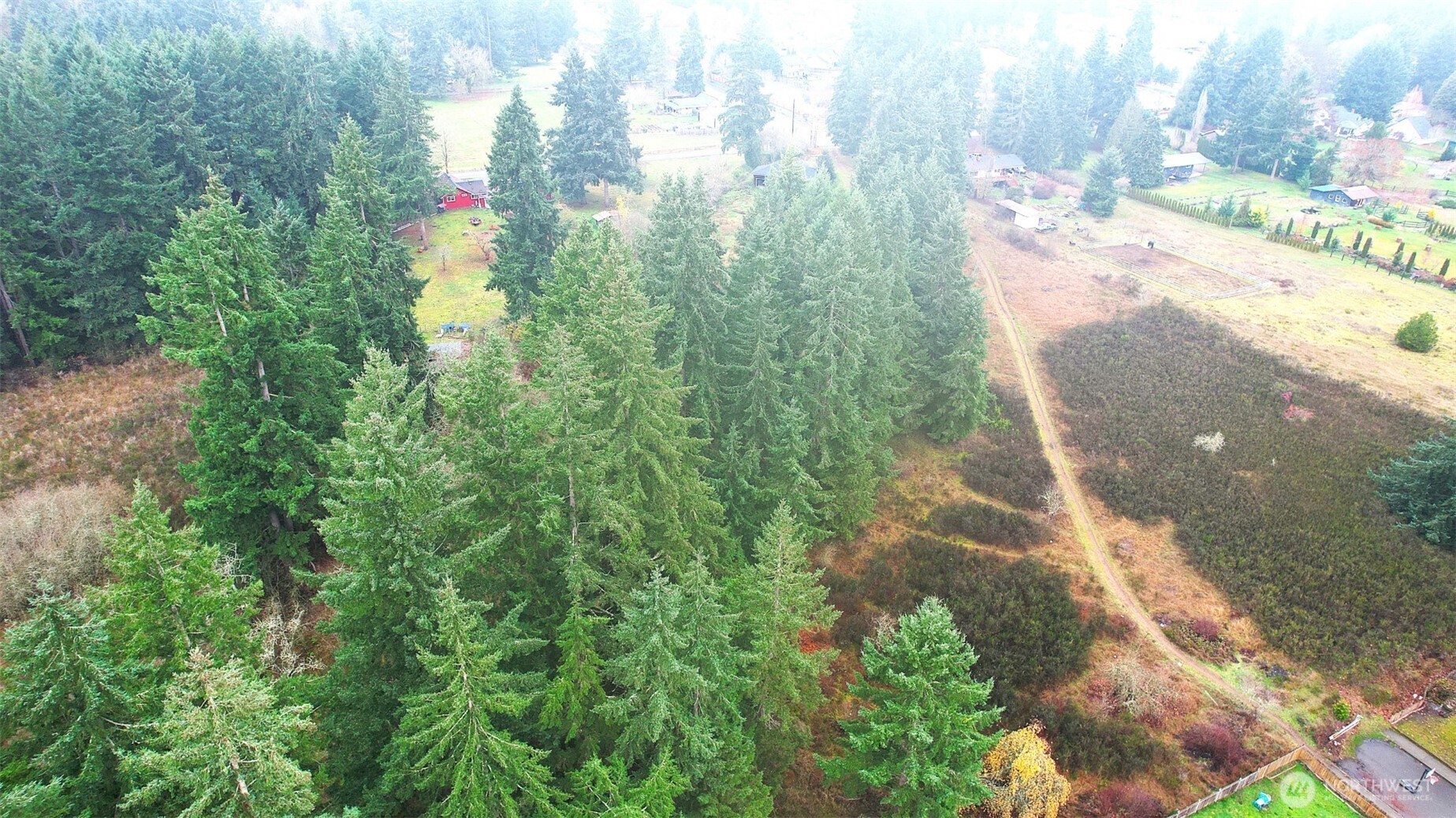 10524 Clark Road Southeast Yelm, WA 98597 - Photo 10 of 10 a view of a yard with plants and large trees