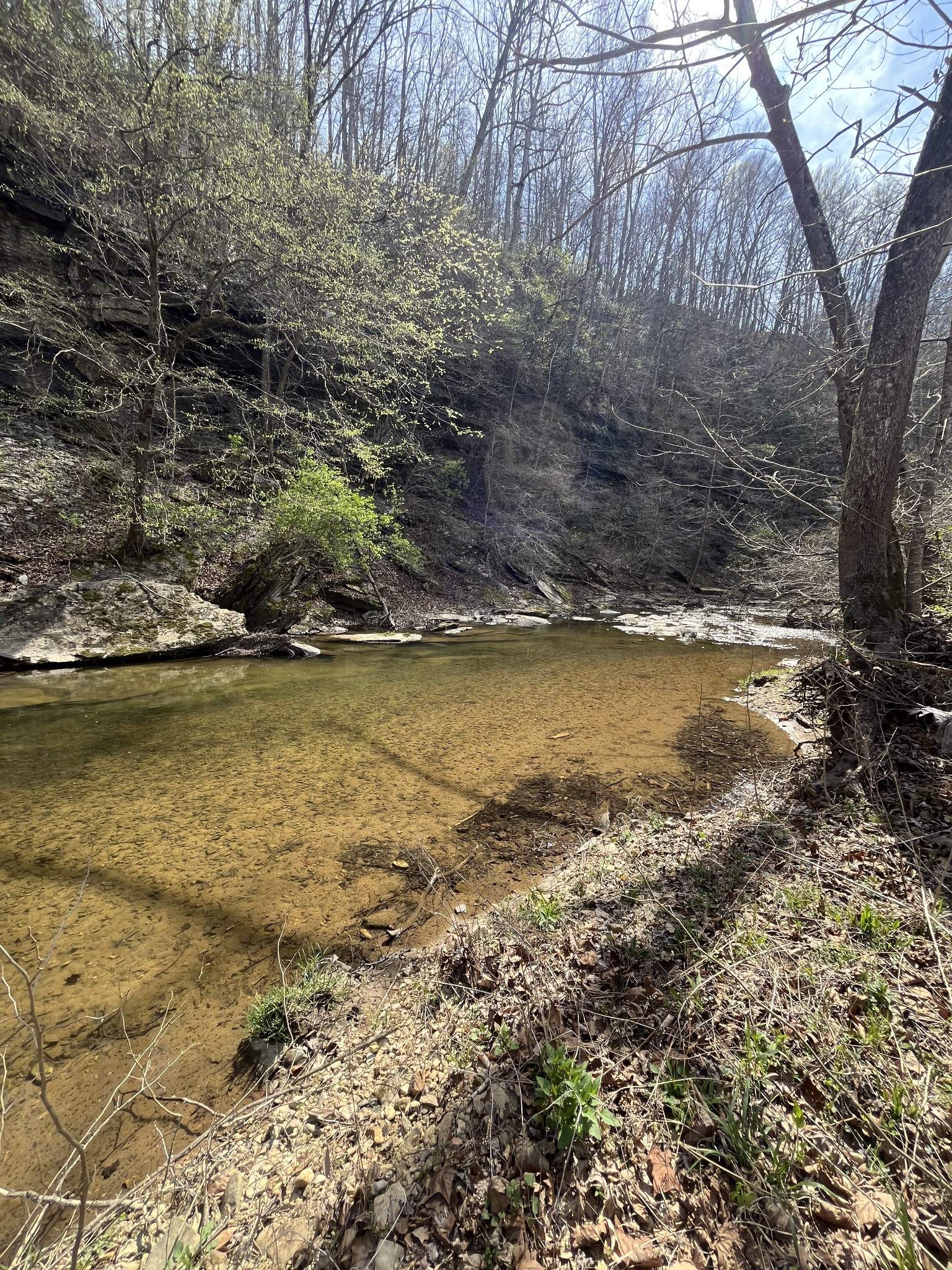 100 Henley Road Ashland City, TN 37015 - Photo 1 of 18