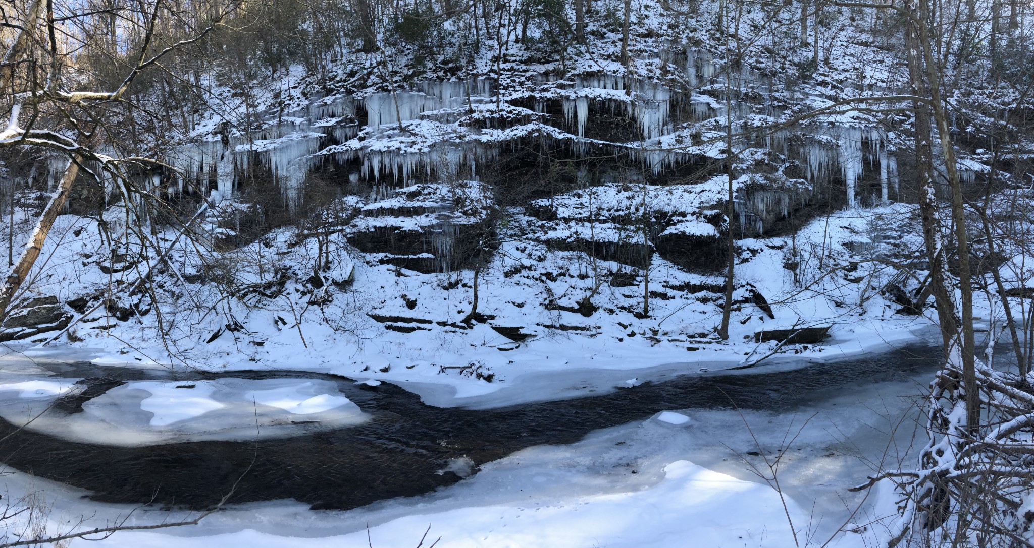 100 Henley Road Ashland City, TN 37015 - Photo 14 of 18