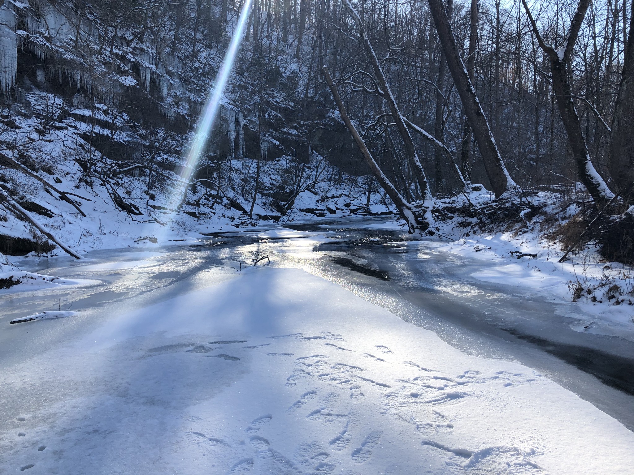 100 Henley Road Ashland City, TN 37015 - Photo 15 of 18