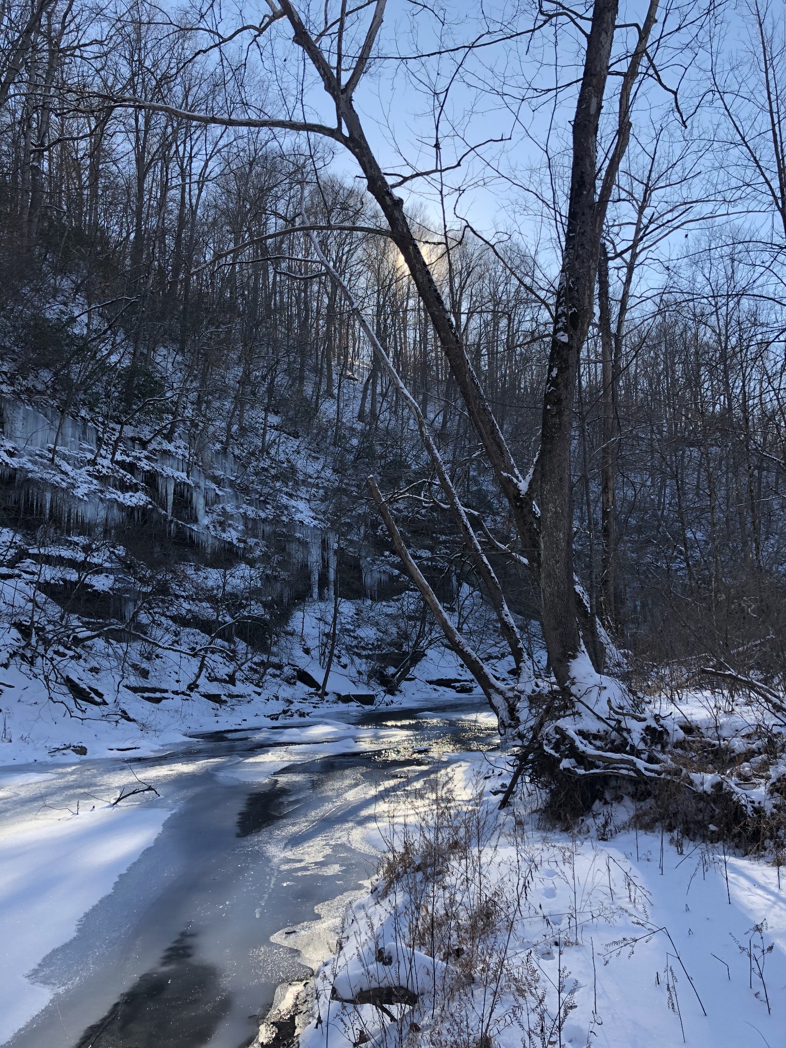 100 Henley Road Ashland City, TN 37015 - Photo 16 of 18