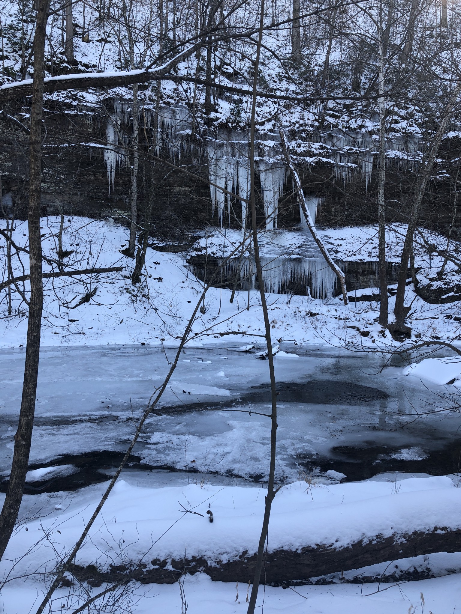 100 Henley Road Ashland City, TN 37015 - Photo 17 of 18