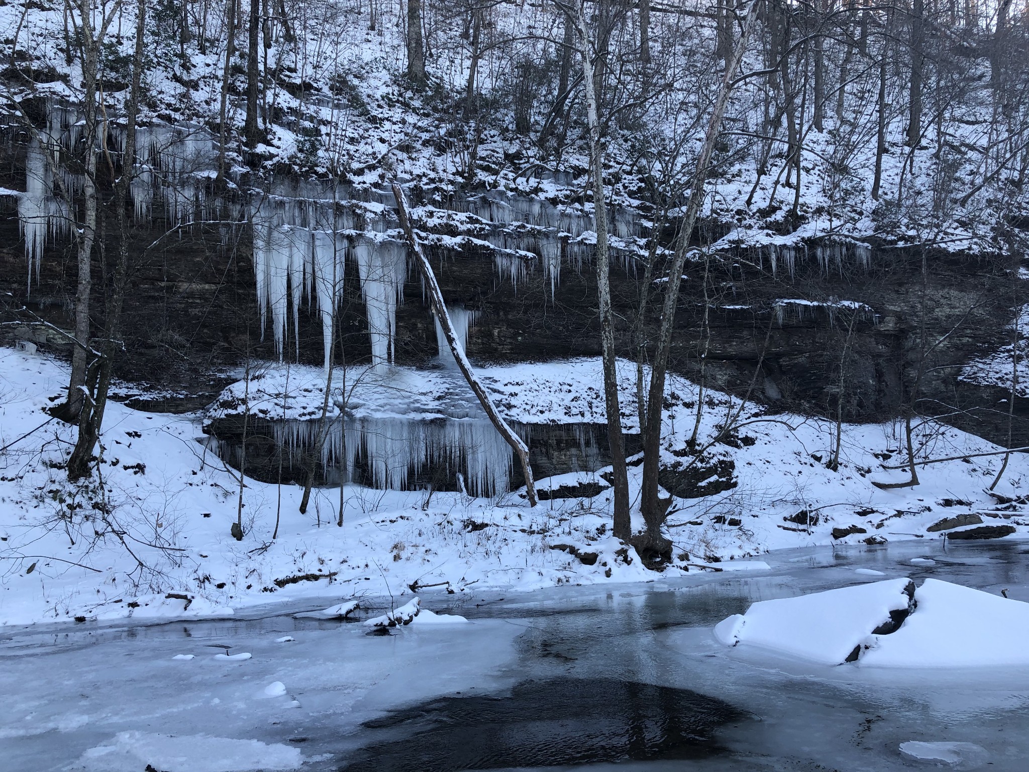 100 Henley Road Ashland City, TN 37015 - Photo 18 of 18