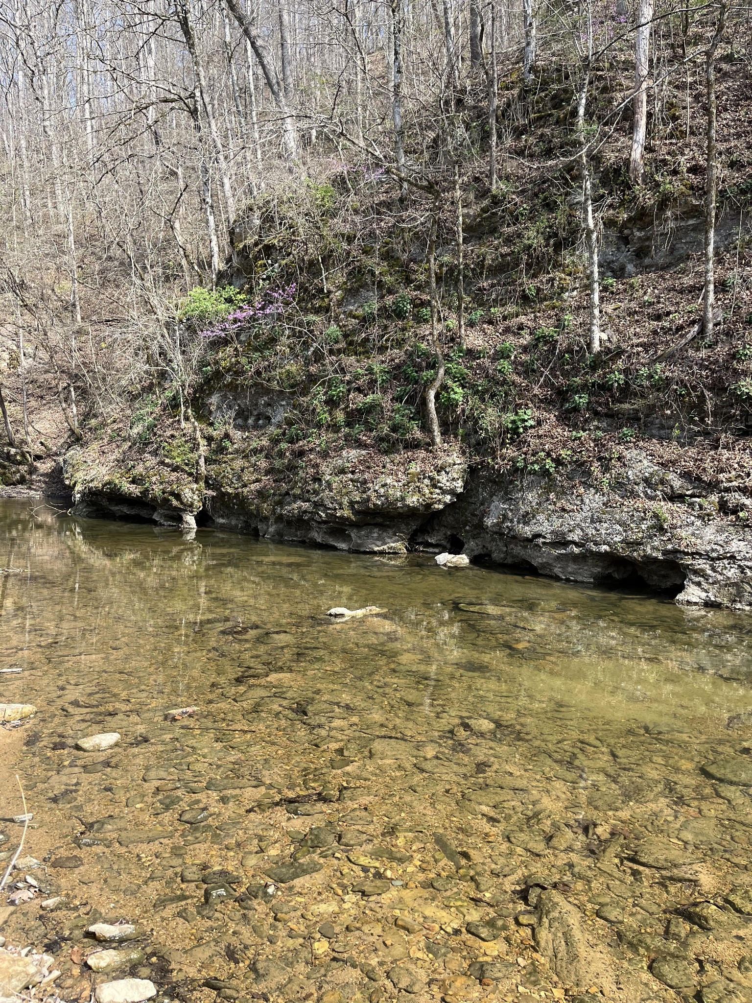 100 Henley Road Ashland City, TN 37015 - Photo 2 of 18