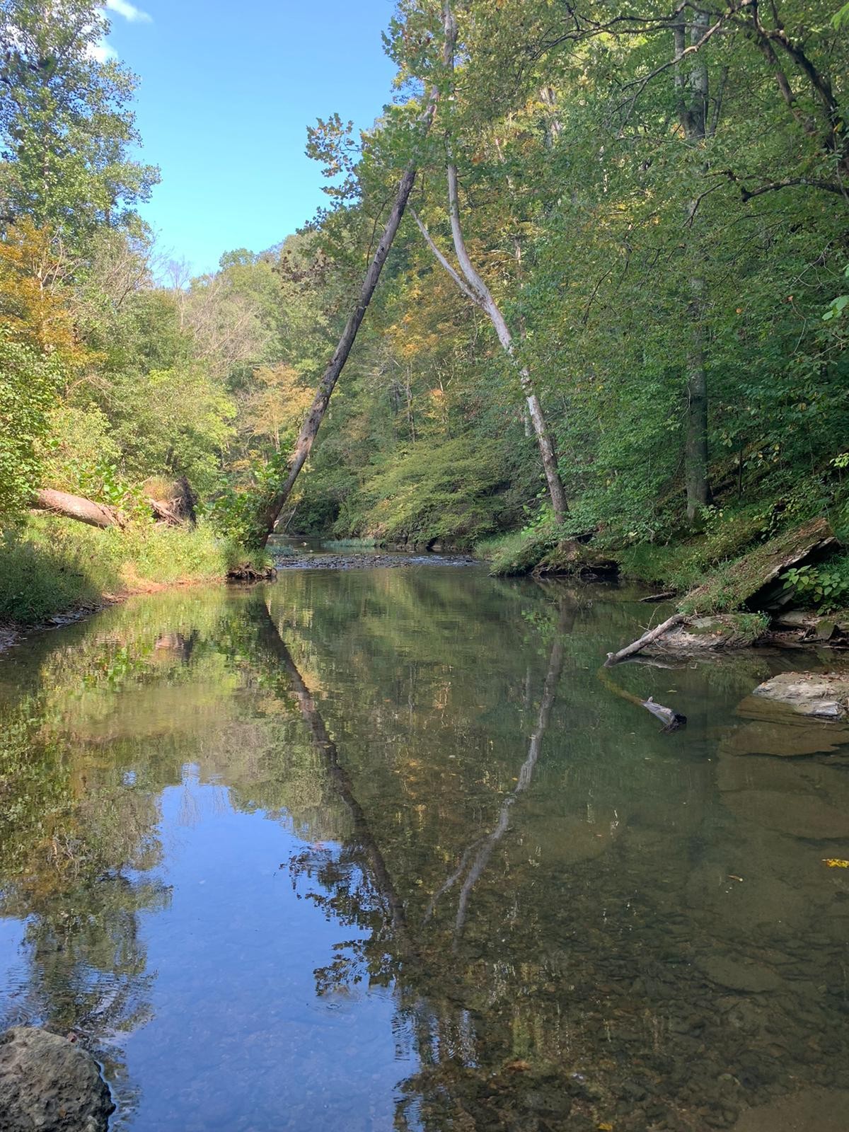 100 Henley Road Ashland City, TN 37015 - Photo 3 of 18