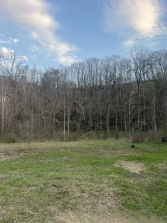 a view of outdoor space with trees all around