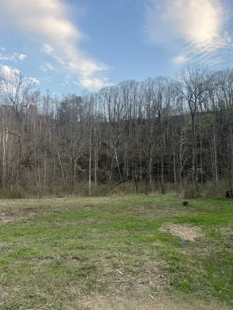 a view of outdoor space with trees all around