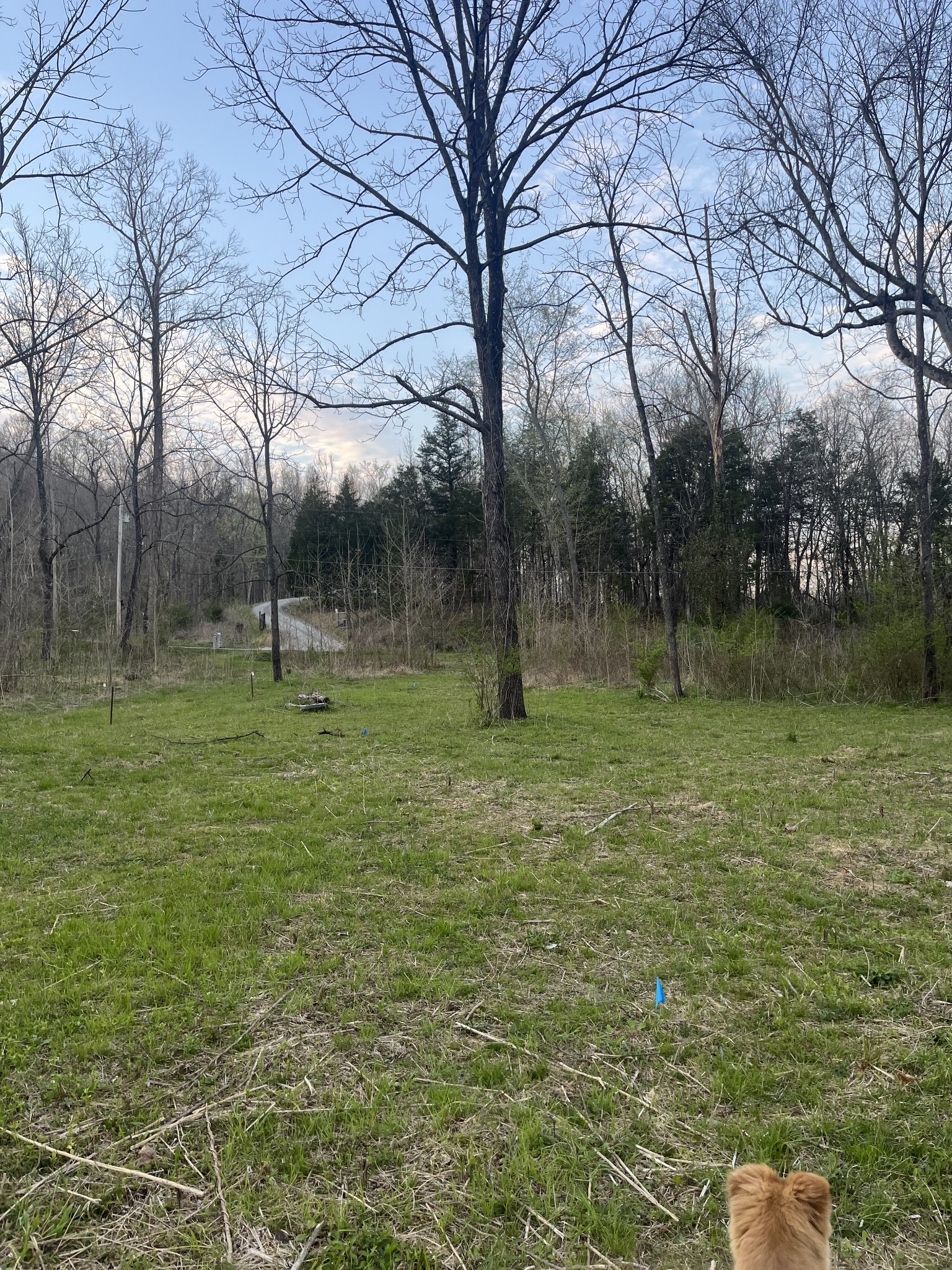 100 Henley Road Ashland City, TN 37015 - Photo 6 of 18