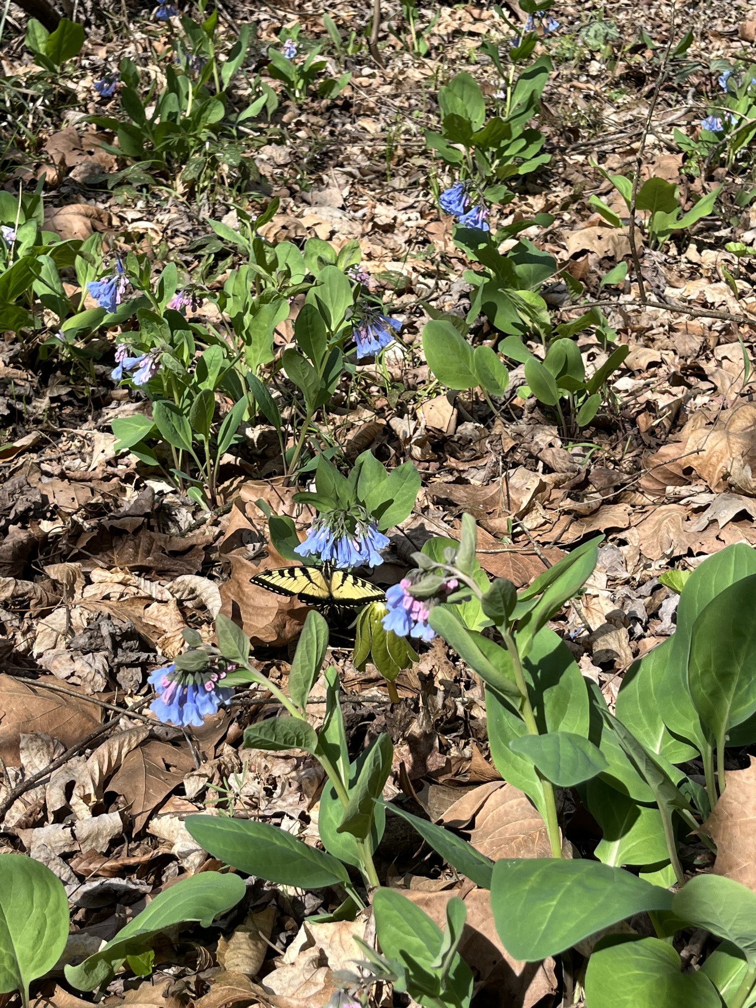 100 Henley Road Ashland City, TN 37015 - Photo 7 of 18