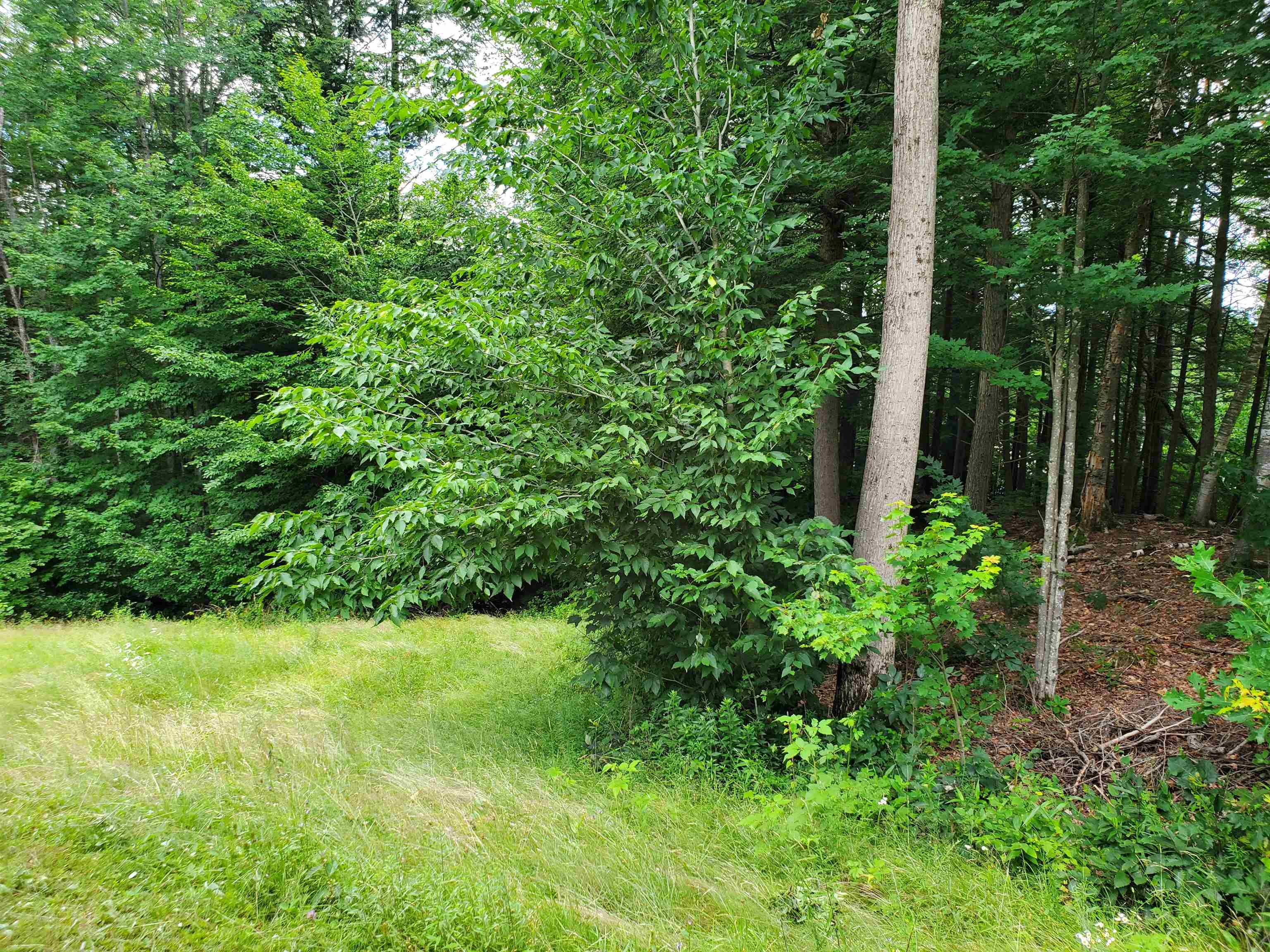 49 Whitcher Road Newport, NH 03773 - Photo 6 of 38