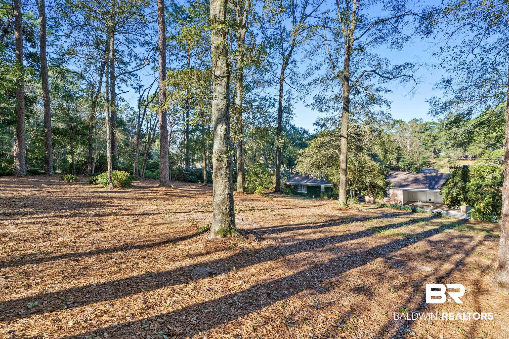 4201 Aldebaran Way Mobile, AL 36693 - Photo 29 of 30