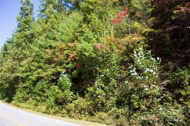 a view of a yard with plants