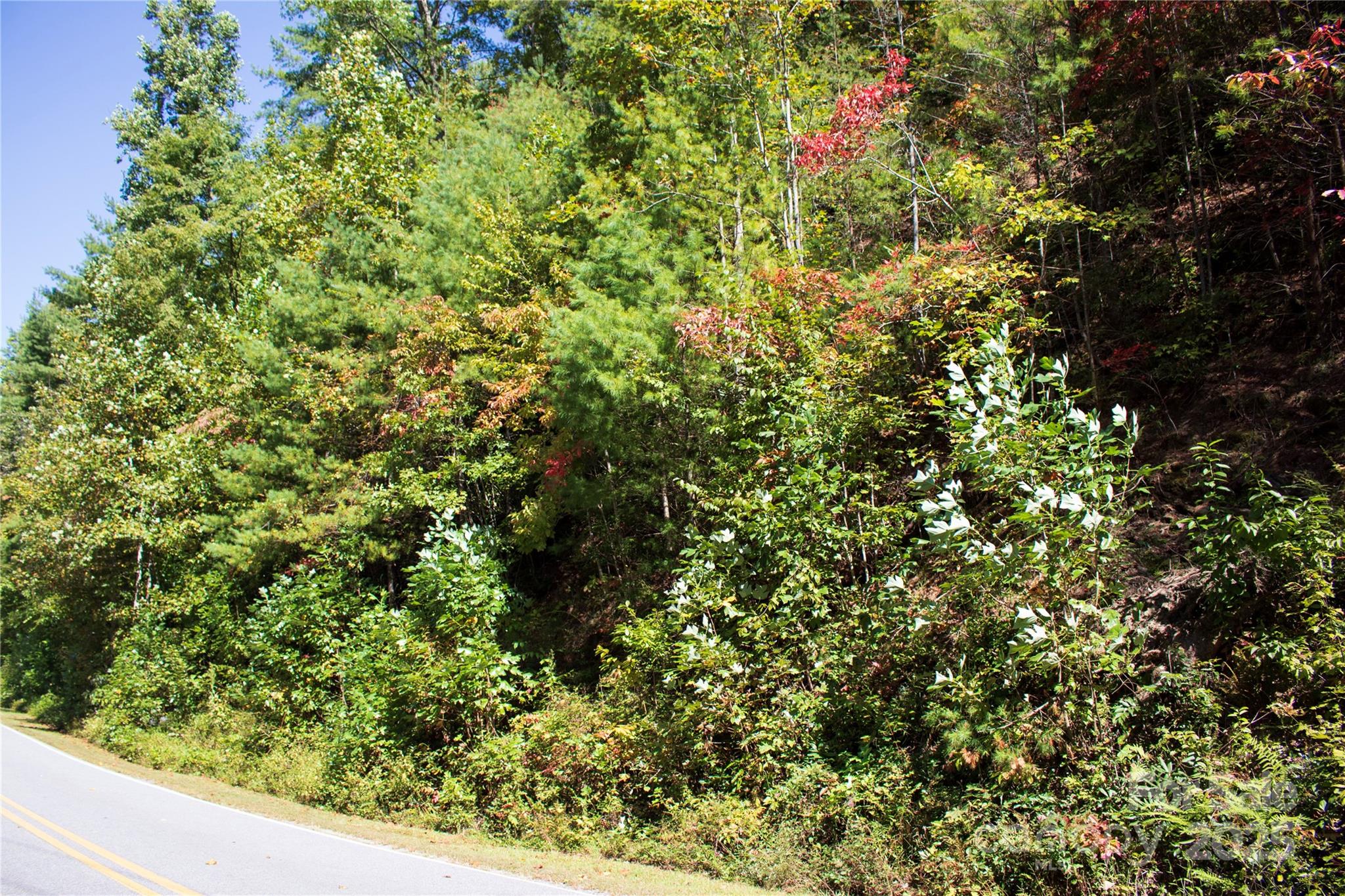 Tbd Frozen Creek Road, Unit 34 Brevard, NC 28712 - Photo 2 of 10 a view of a yard with plants