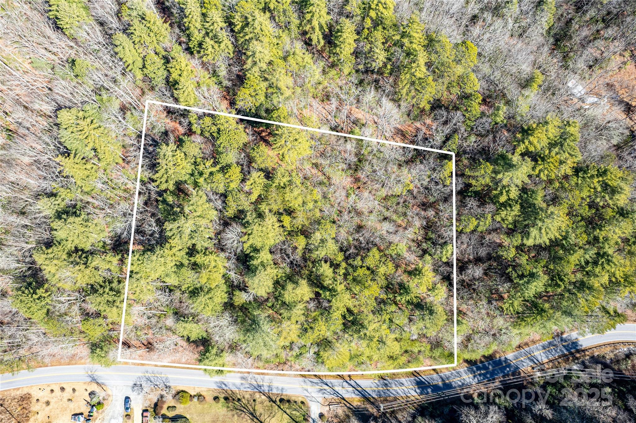 Tbd Frozen Creek Road, Unit 34 Brevard, NC 28712 - Photo 5 of 10 a view of a yard