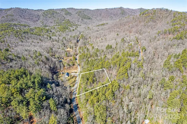 a view of a dry field with trees in the background