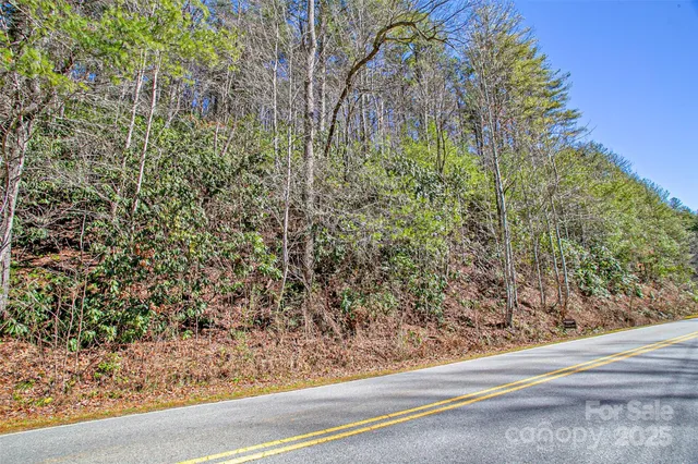 $15,000 | Tbd Frozen Creek Road, Unit 34, Brevard, NC 28712