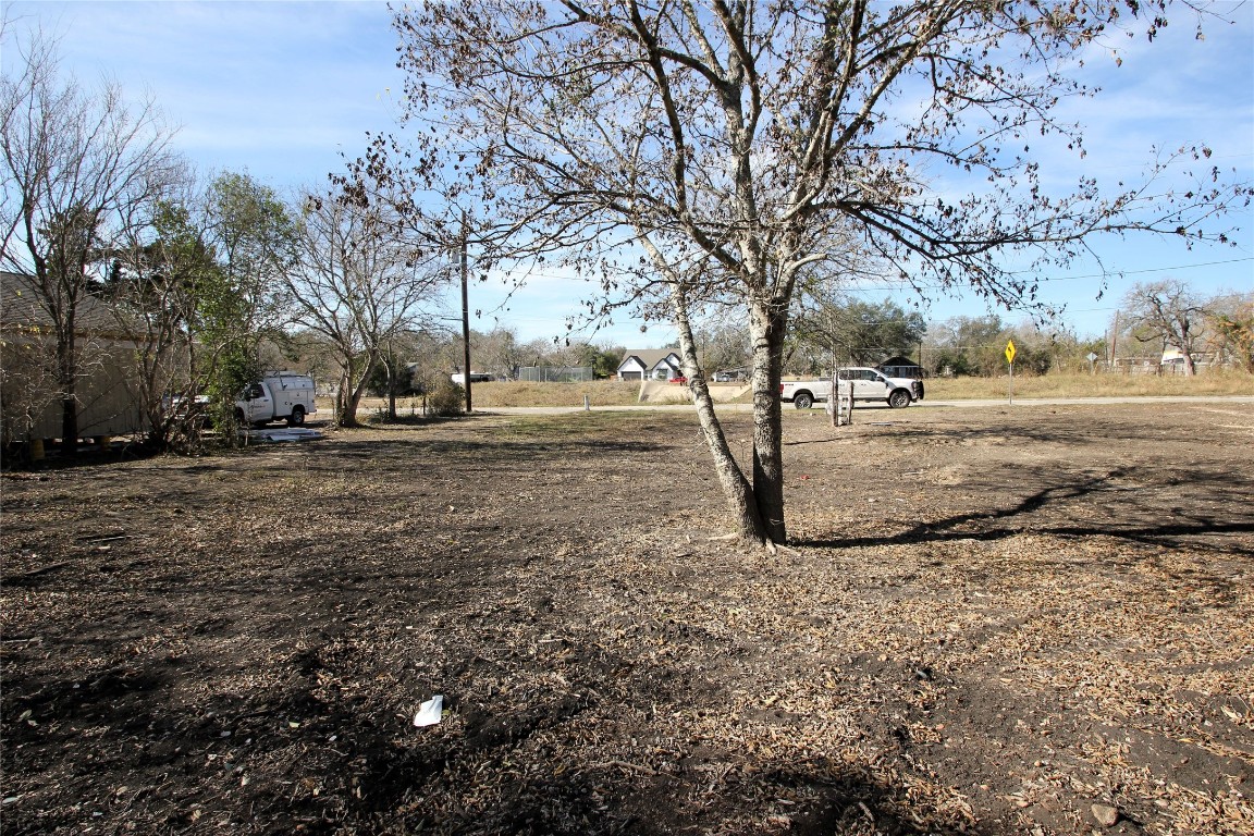 1104 Wichita Street Lockhart, TX 78644 - Photo 5 of 7 a view of dirt yard with a large tree