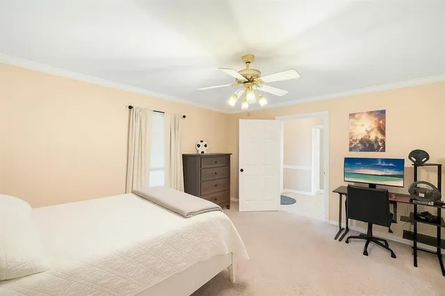 a bedroom with a large bed and a chandelier