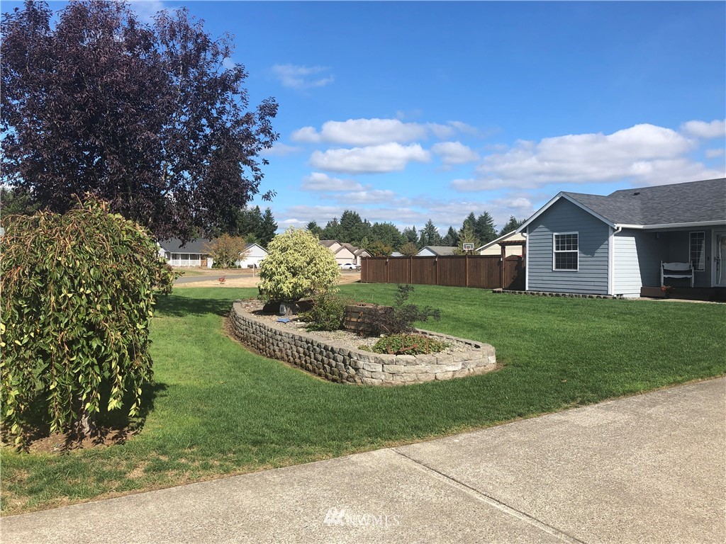 9131 Applegate Loop Southwest Rochester, WA 98579 - Photo 3 of 32 a view of a house with a yard and potted plants