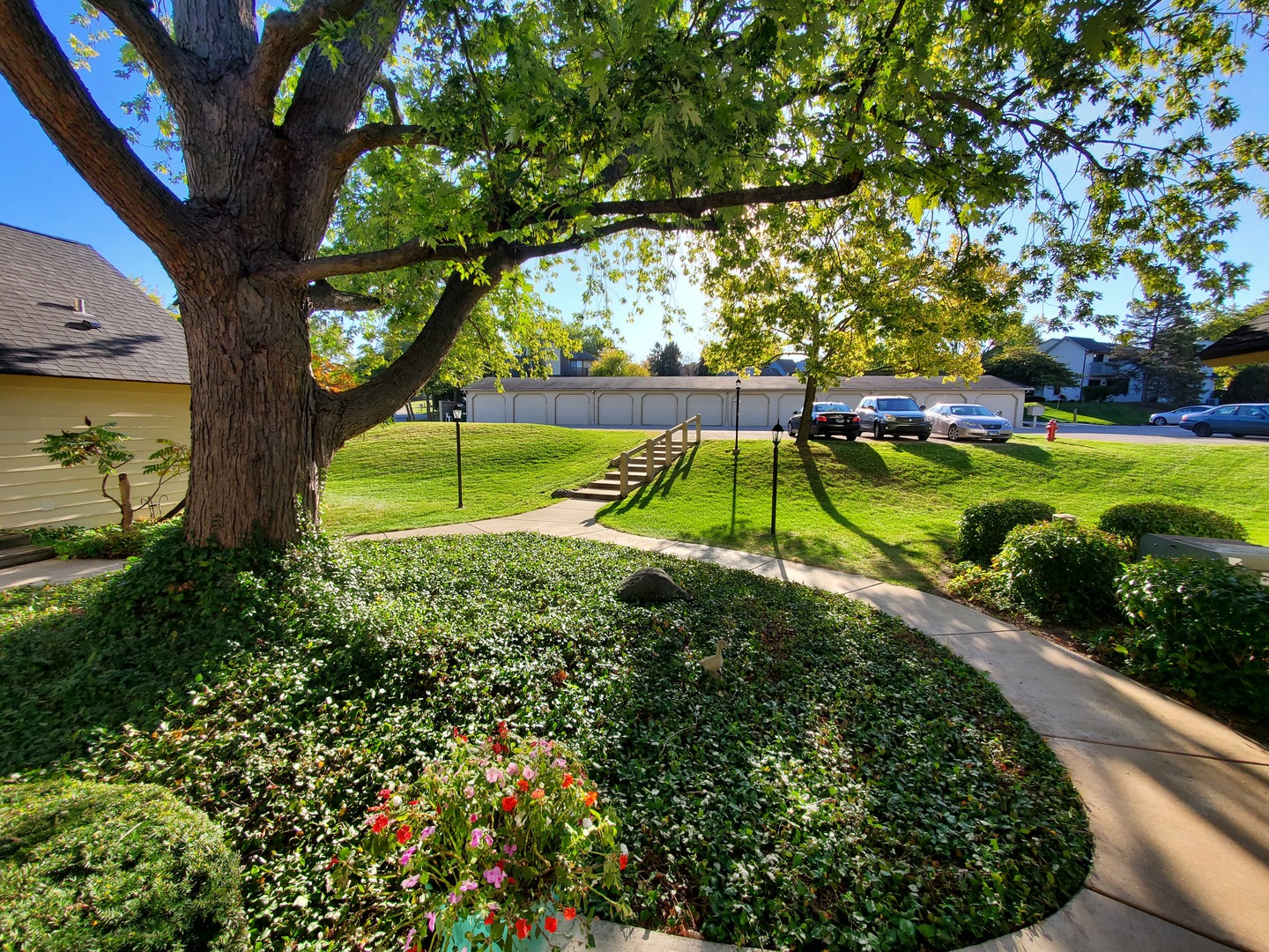 726 Chandler Road Gurnee, IL 60031 - Photo 3 of 43 a view of park with large trees