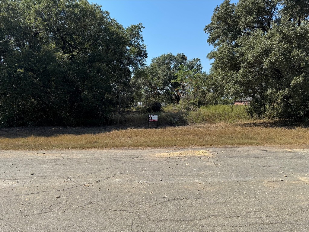 a view of yard and lake view