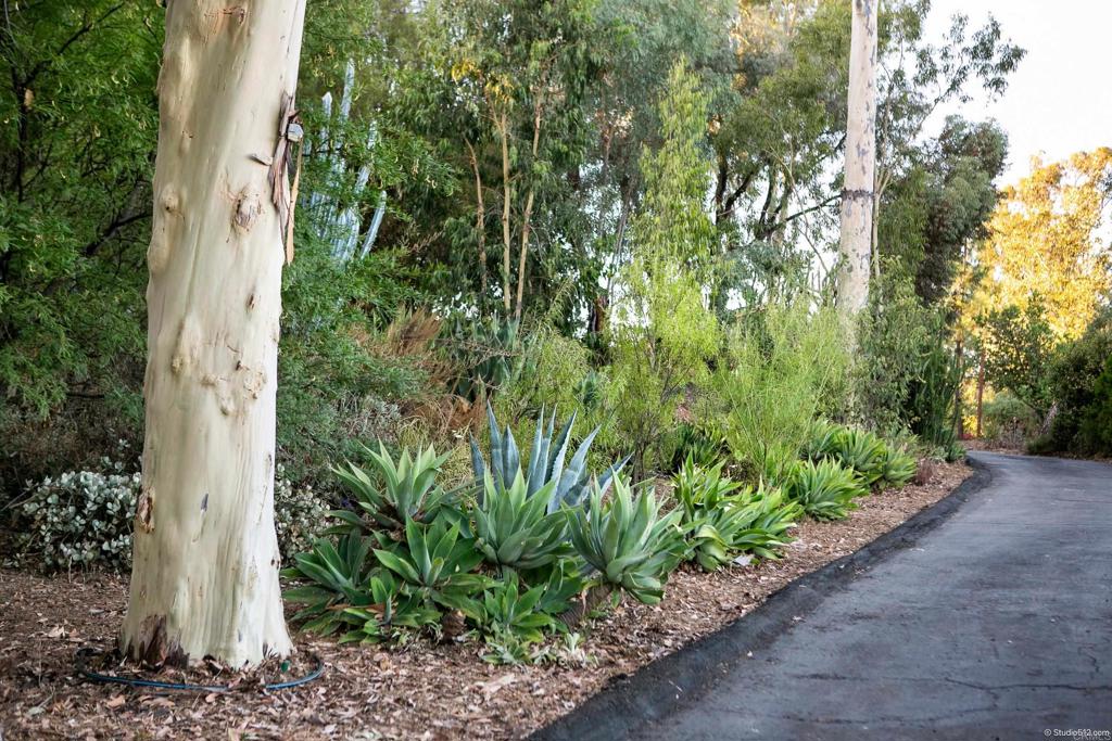 1217 Cedar Street Ramona, CA 92065 - Photo 4 of 42 Driveway to RV Pad & Sea Trains