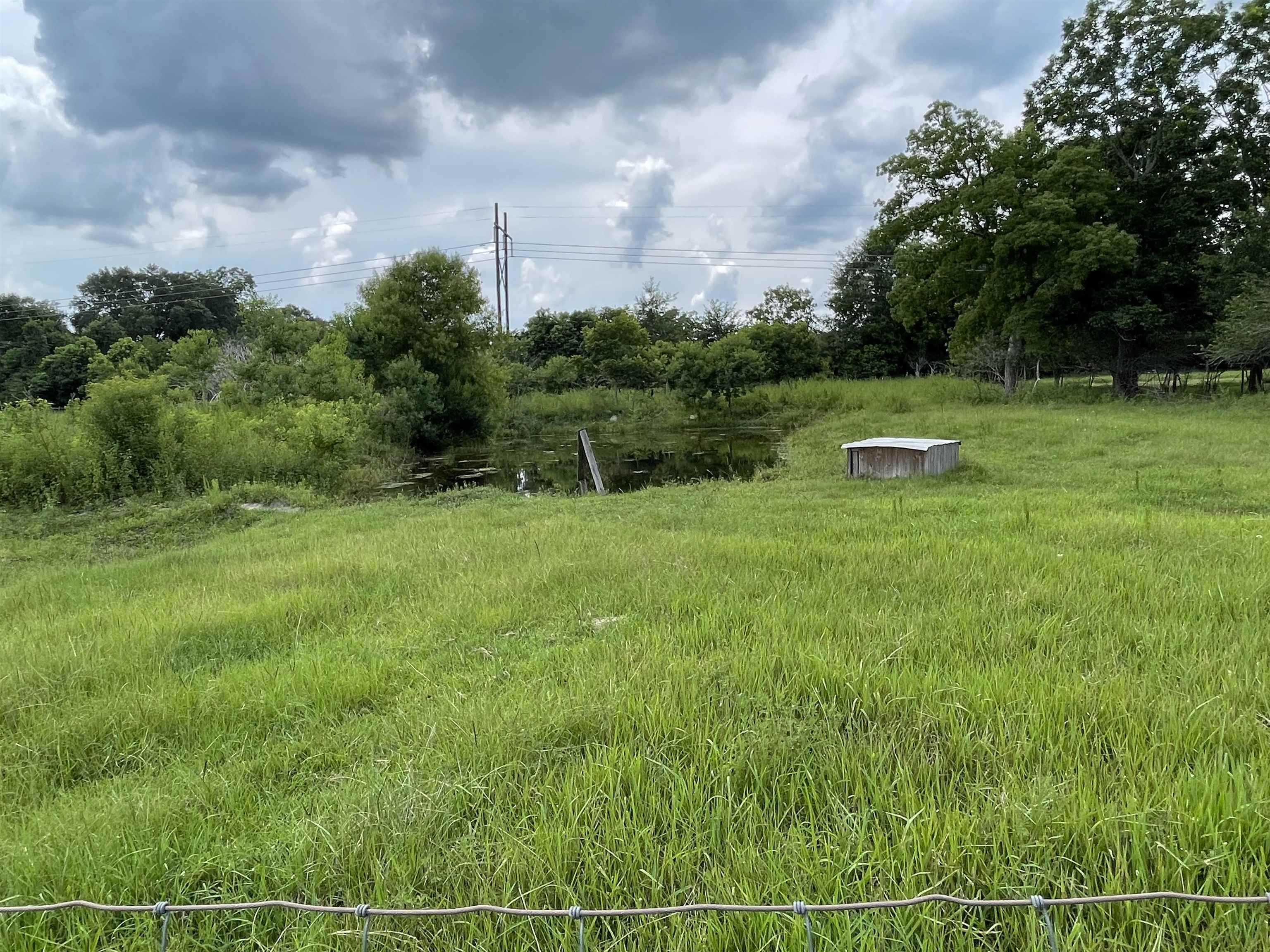 12753 Breman Road Elberta, AL 36530 - Photo 11 of 14 Yard