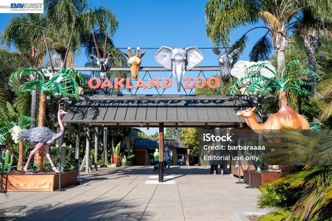 $778,000 | 123-123 Ironwood, Oakland, CA 94605