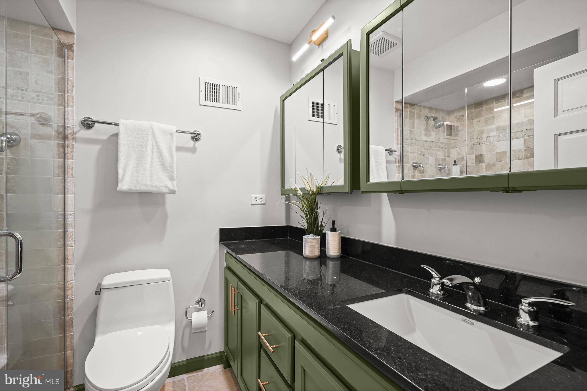 1420 Rhode Island Avenue Northwest Washington, DC 20005 - Photo 23 of 36 Primary en-suite bath