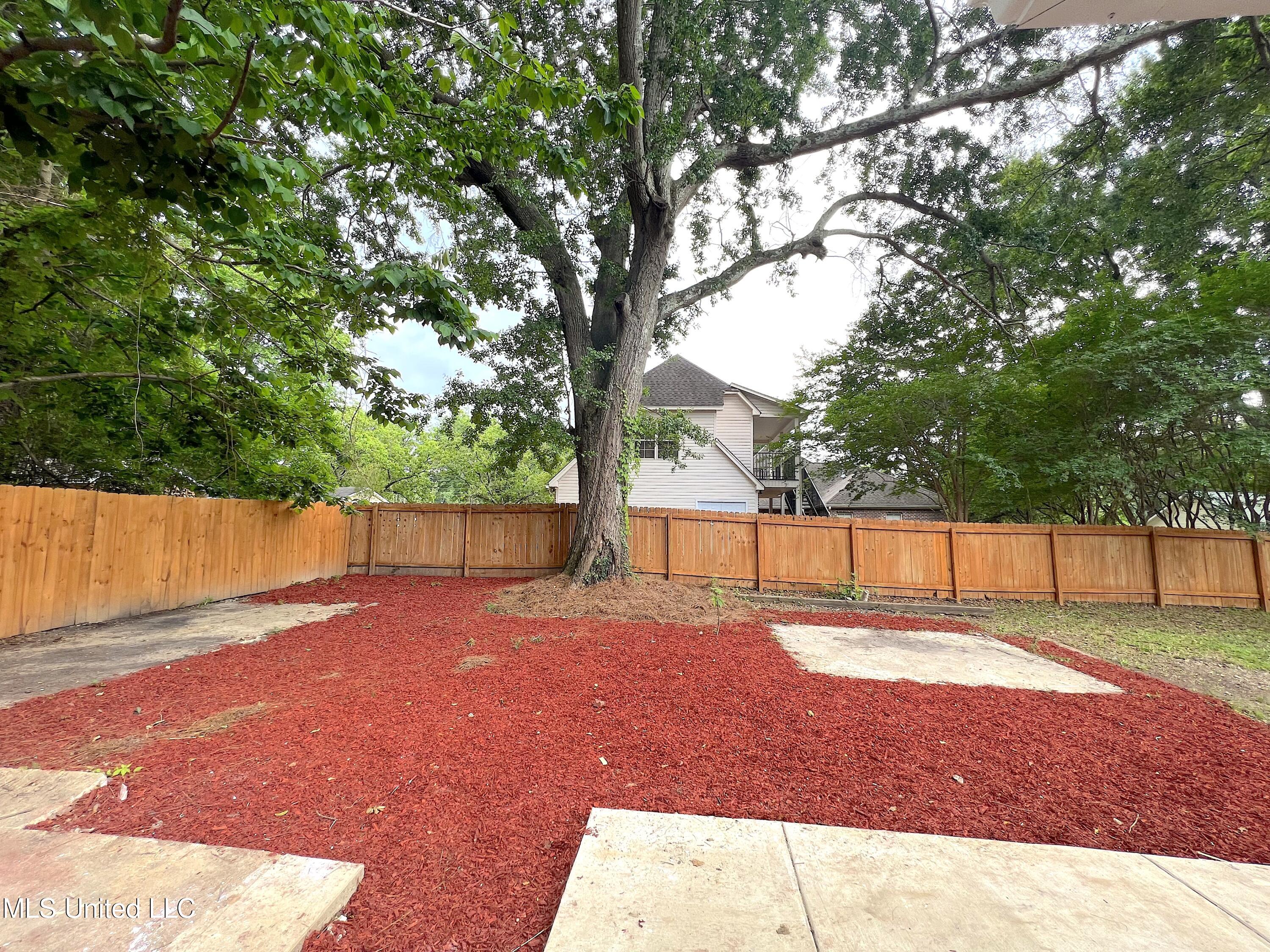 211 Nolan Circle Ridgeland, MS 39157 - Photo 5 of 32 Backyard
