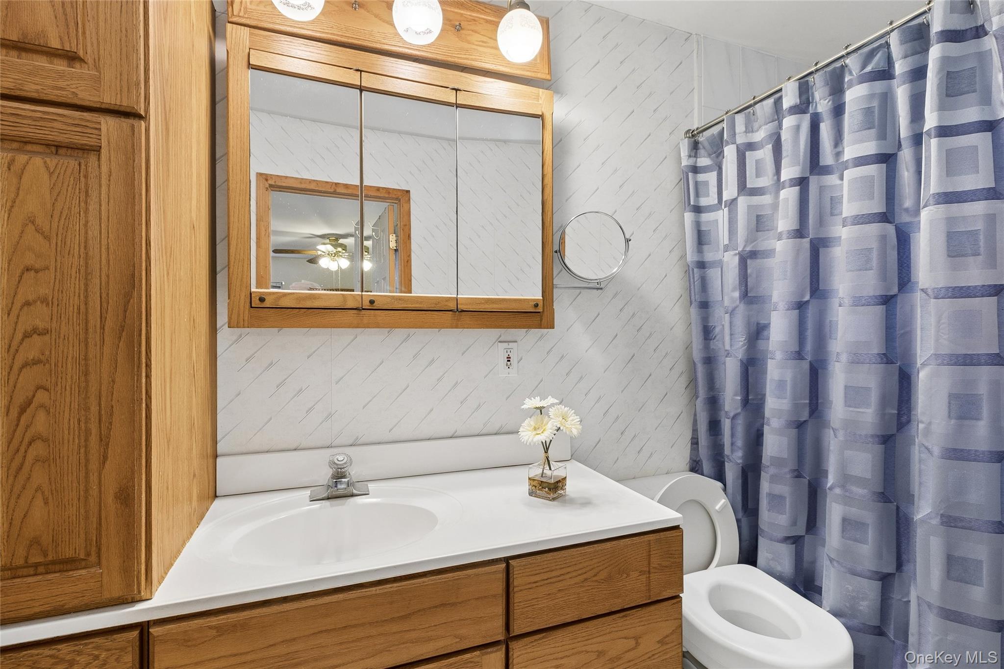 72 Jarvin Road Port Jefferson Station, NY 11776 - Photo 20 of 29 a bathroom with a sink toilet and mirror