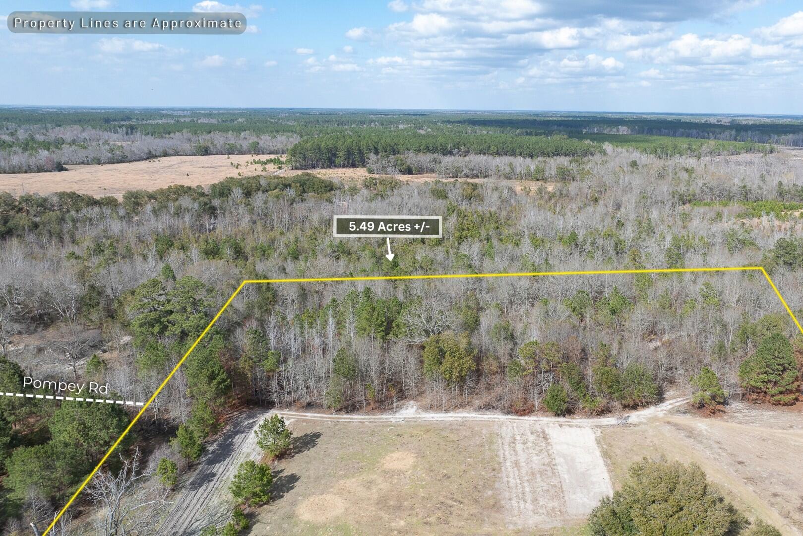 2 Pompey Road Manning, SC 29102 - Photo 5 of 40