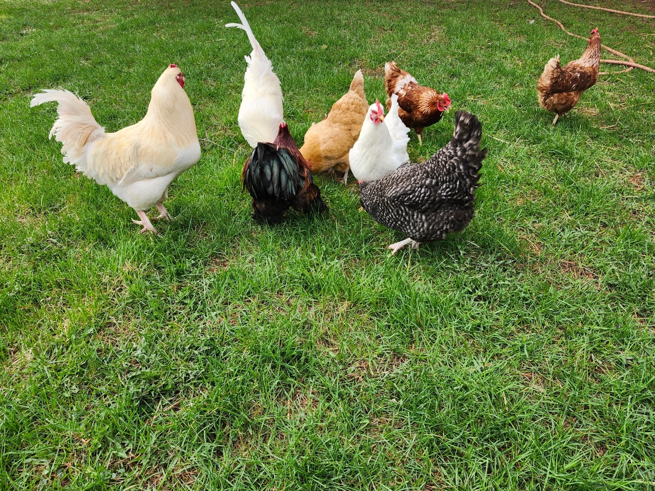 6760 Tipple Road Rockford, IL 61102 - Photo 4 of 36