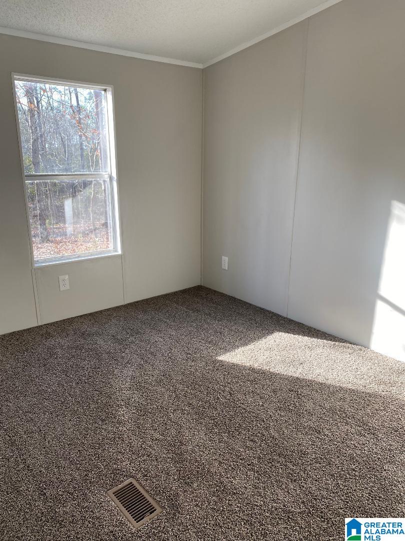 204 County Road 287 Arley, AL 35541 - Photo 14 of 21