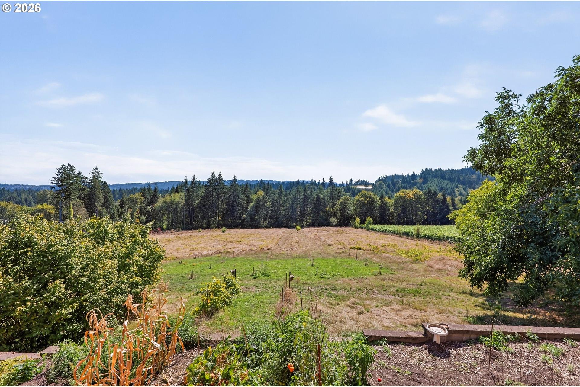 20132 Southwest Lebeau Road Sherwood, OR 97140 - Photo 22 of 48 Bedroom, Primary