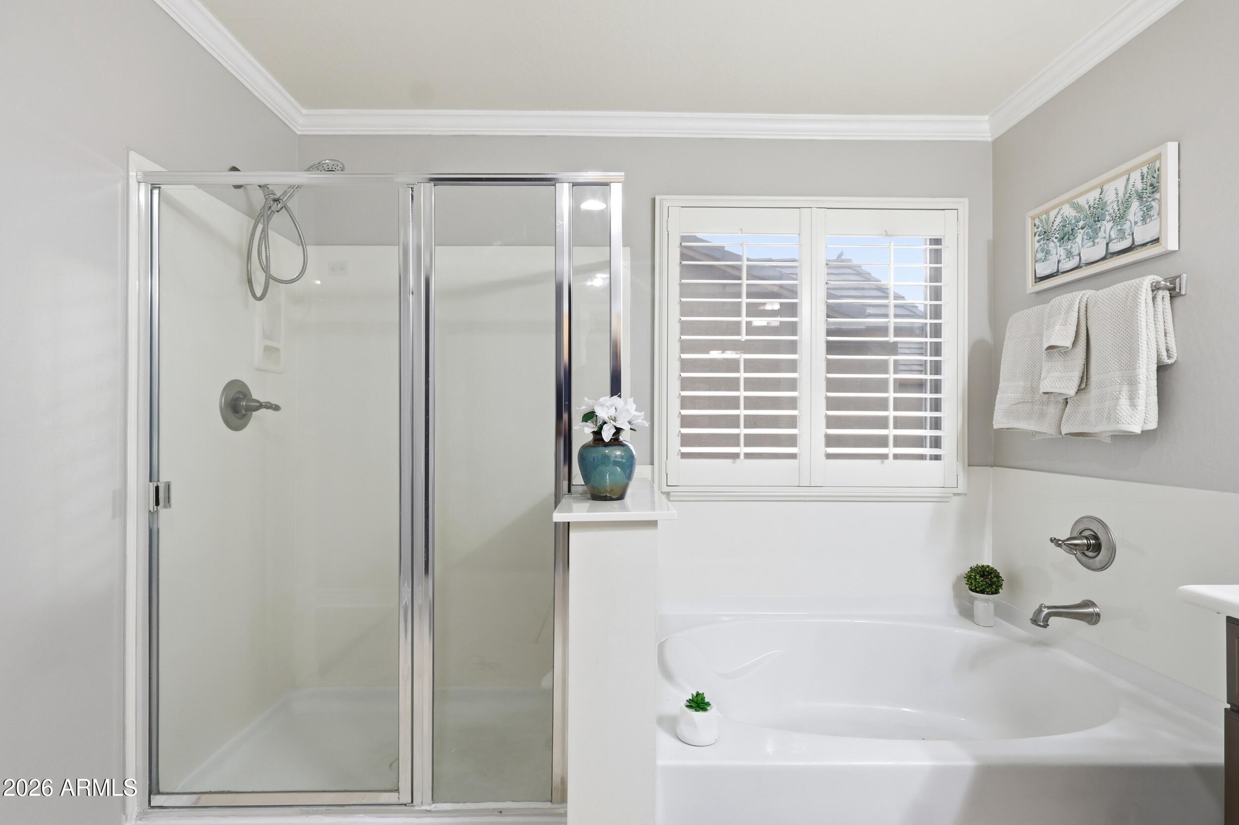 7721 South 71st Avenue Laveen, AZ 85339 - Photo 32 of 58 separate shower and tub