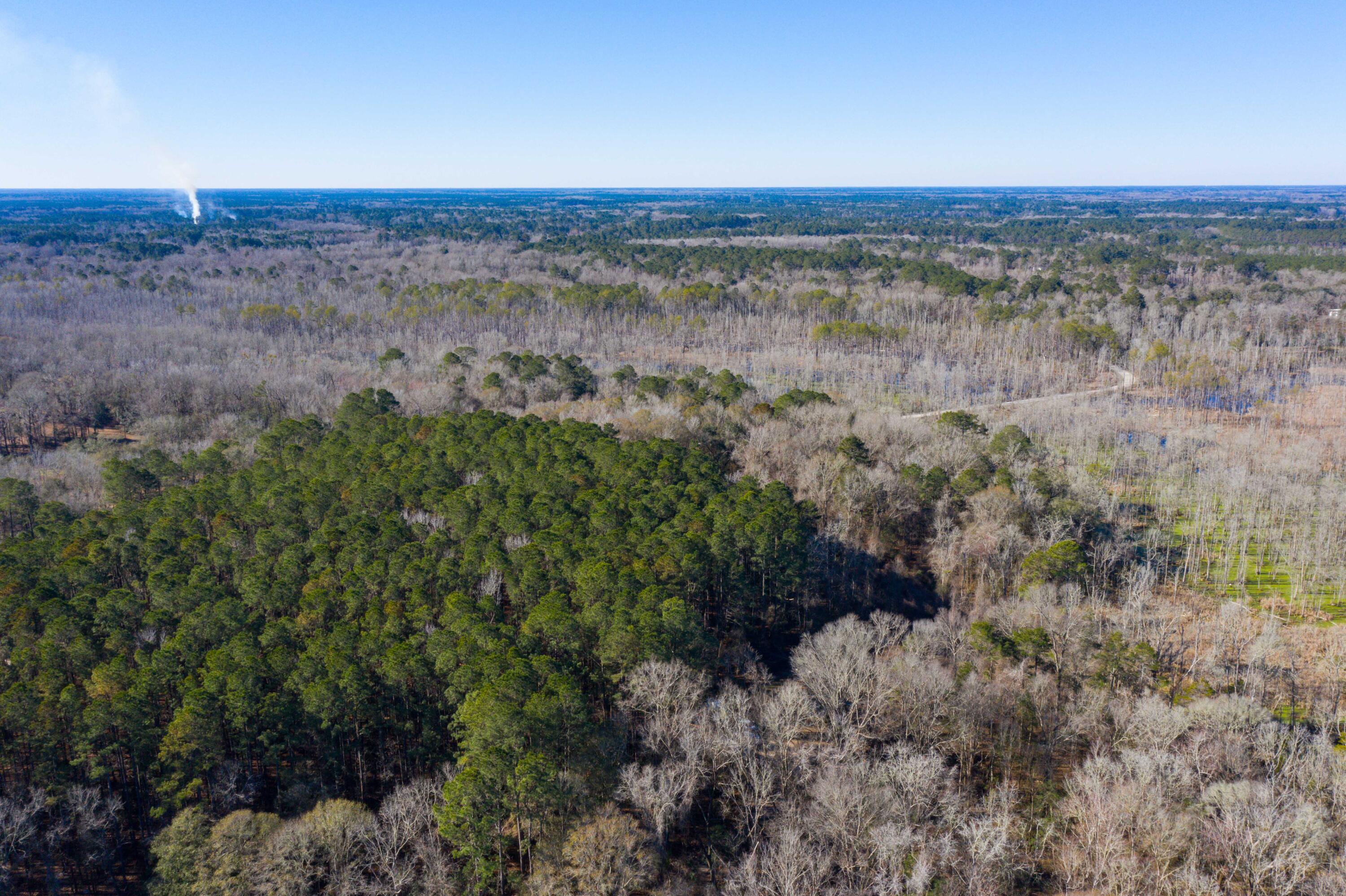 0 Bama Road Cottageville, SC 29435 - Photo 24 of 38 DJI_0002