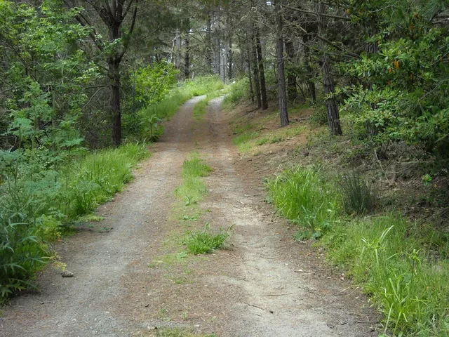 $649,000 | 700 Cedar Street, Montara, CA 94037