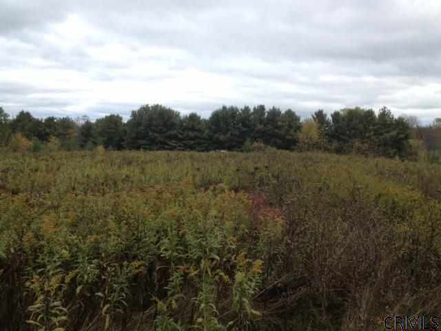 423 Bullock Road New Scotland, NY 12159 - Photo 4 of 4 Photo 4