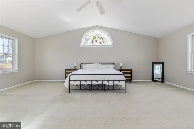 a view of a yard with plants and wooden fence