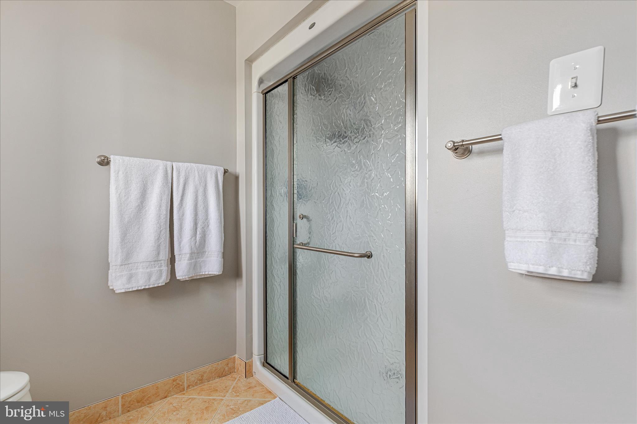 39704 Rickard Road Lovettsville, VA 20180 - Photo 39 of 102