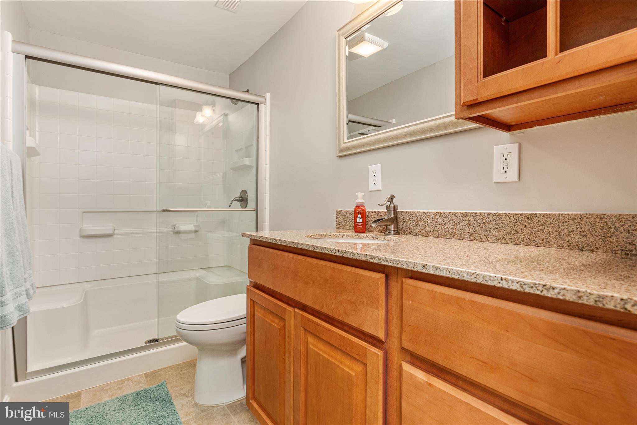 39704 Rickard Road Lovettsville, VA 20180 - Photo 47 of 102