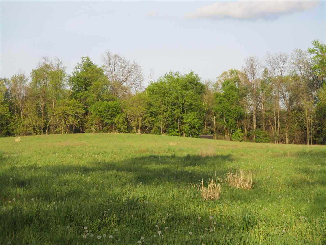 0 Godfrey Road Bancroft, MI 48414 - Photo 2 of 19