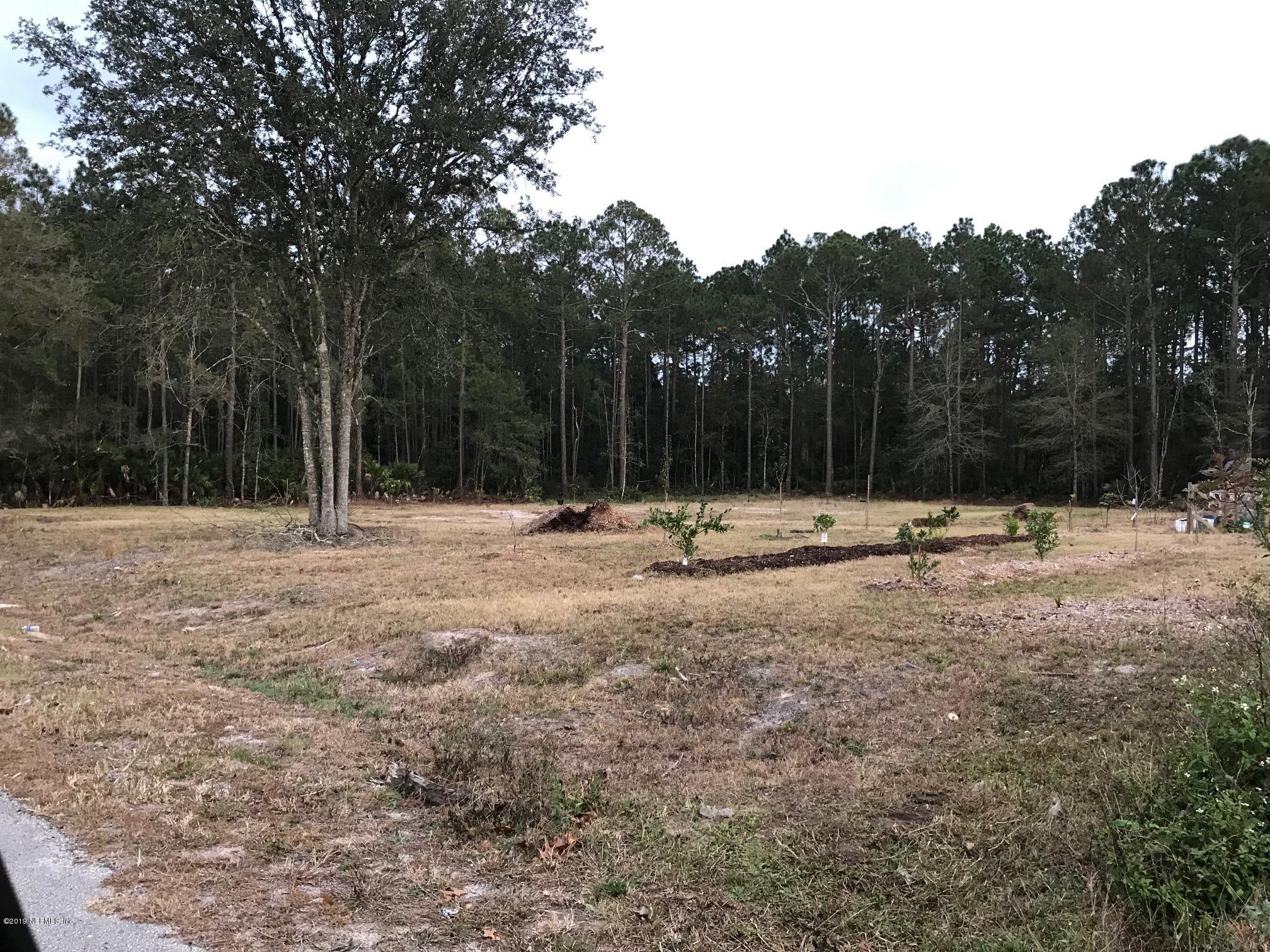 0 Birdies Road Jacksonville, FL 32256 - Photo 3 of 4 3 vacant land